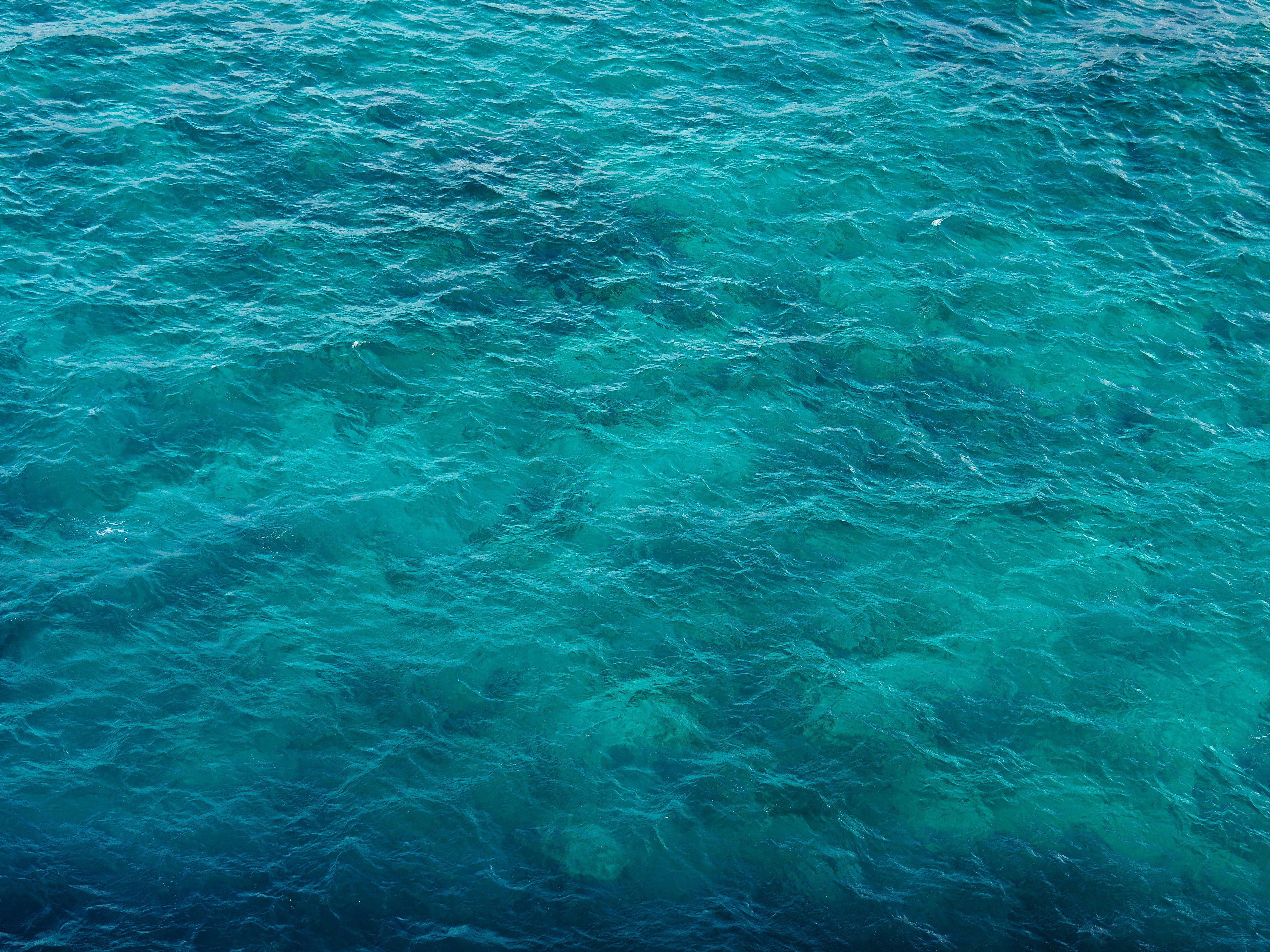 naturug collection tapis berbère laine naturelle handmade Moroccan wool rug tapis marocain fait main berber rugs